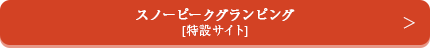 スノーピークグランピング特設サイト