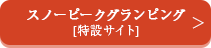 スノーピークグランピング特設サイト