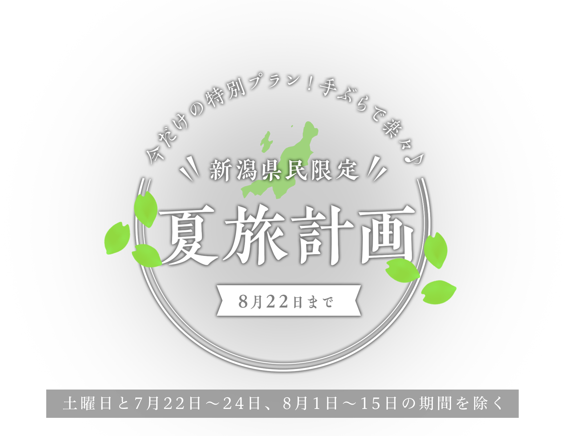 今だけの特別プラン！手ぶらで楽々♪ 新潟県民限定 夏旅計画 8月22日まで限定